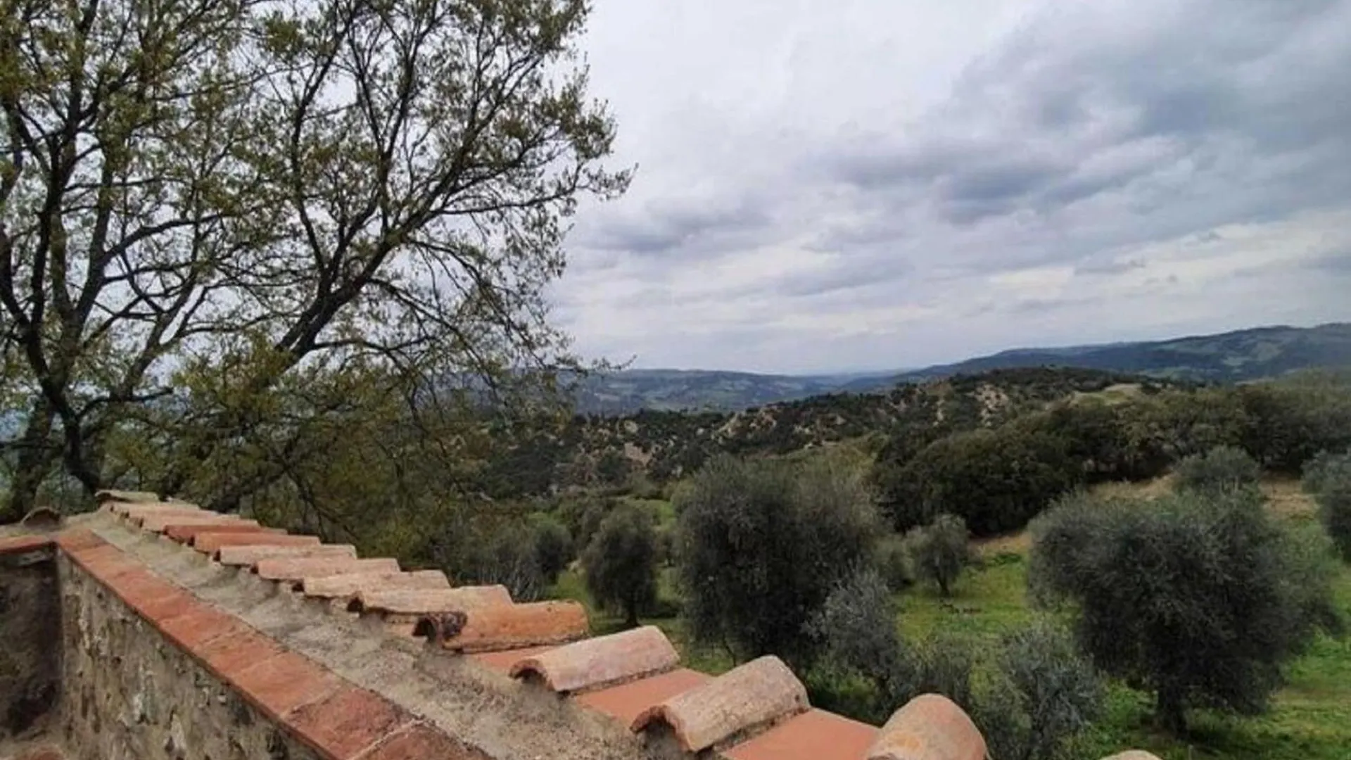 Pleasant Holiday Home In Seggiano With Private Terrace Italy