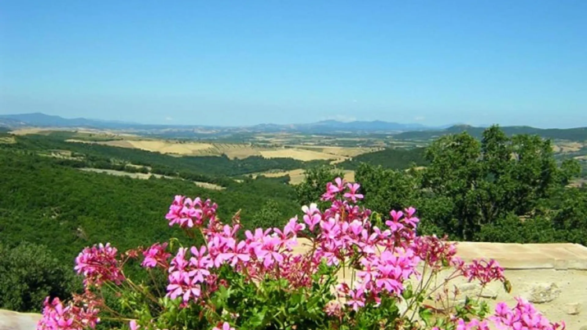 Pleasant Holiday Home In Seggiano With Private Terrace