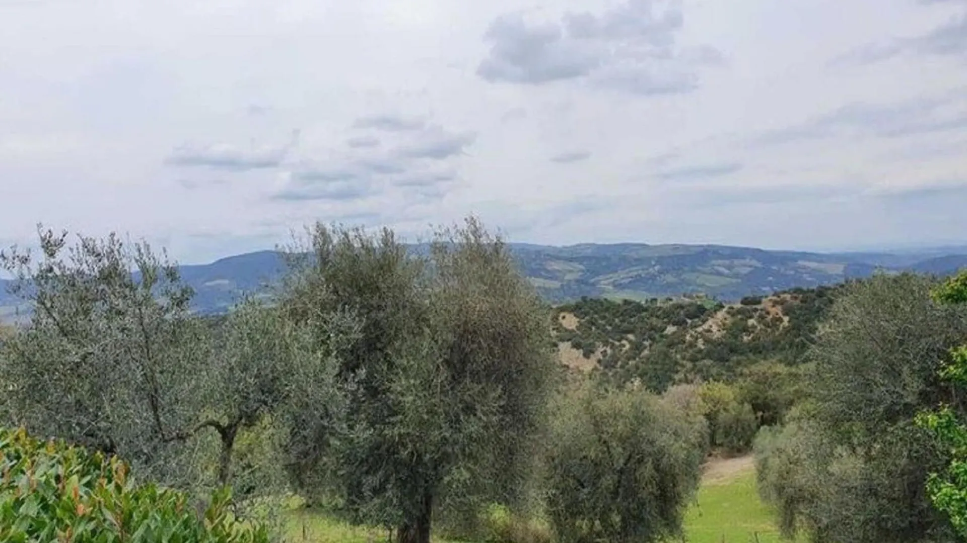 Pleasant Holiday Home In Seggiano With Private Terrace 0*,  Italy