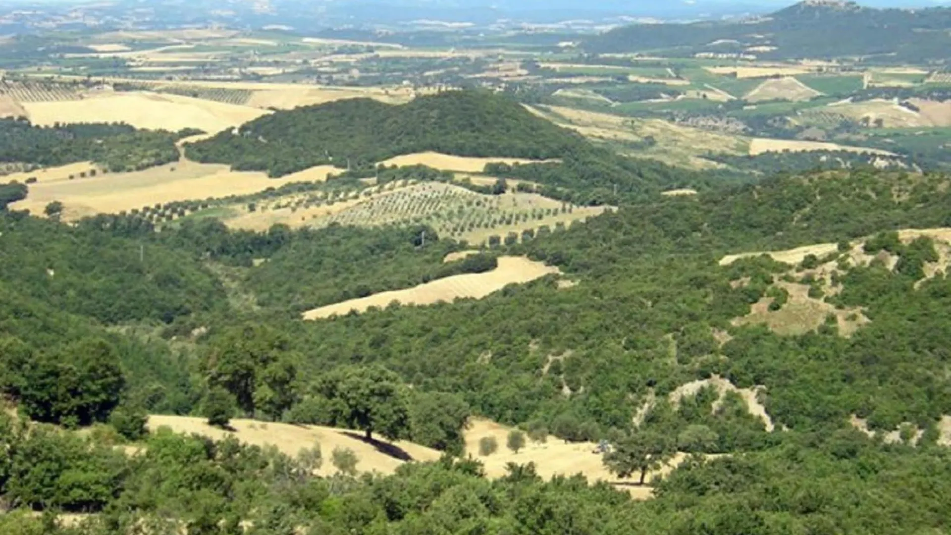 Pleasant Holiday Home In Seggiano With Private Terrace