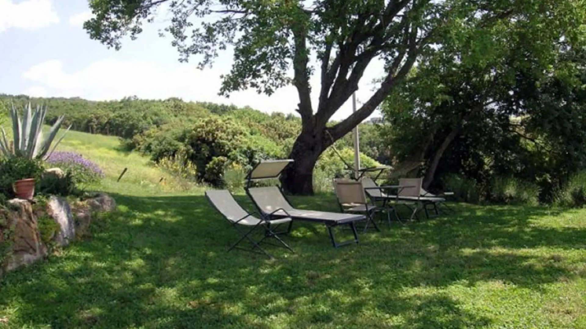 Pleasant Holiday Home In Seggiano With Private Terrace