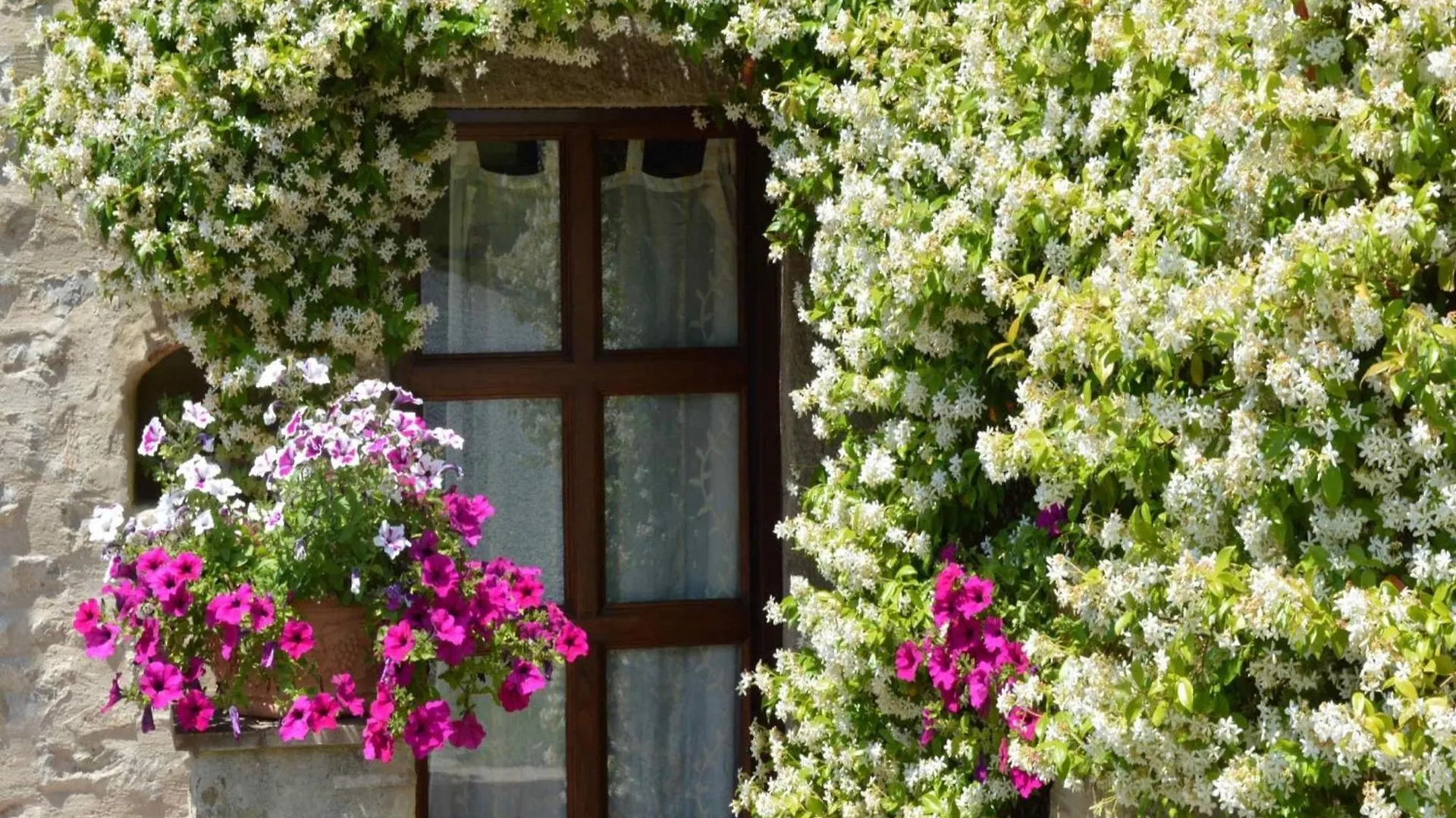 Pleasant Holiday Home In Seggiano With Private Terrace 0*,
